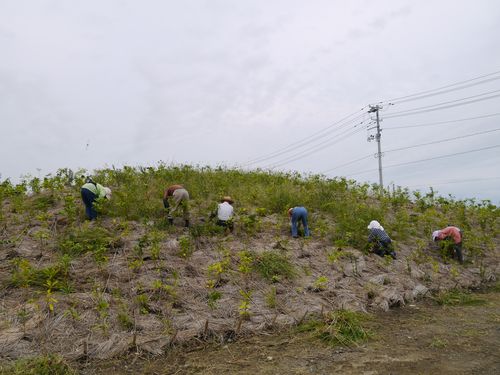 20121005　岩沼